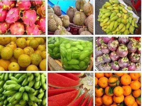热带水果的名字及图片,70种水果图片大全名称,100种奇特的水果名称_大山谷图库