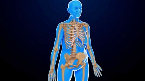 医学3D动画演示：X射线是如何产生的？_腾讯视频