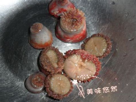 【干锅海葵的做法步骤图，干锅海葵怎么做好吃】小乙水_下厨房