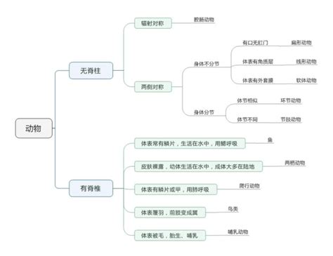 动物的系统分类示例图 PPT课件