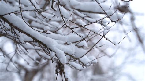 播放演雪居士超度视频-演雪居士为什么能够度众生
