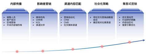 宝洁公司STP营销战略案例分析_文档之家