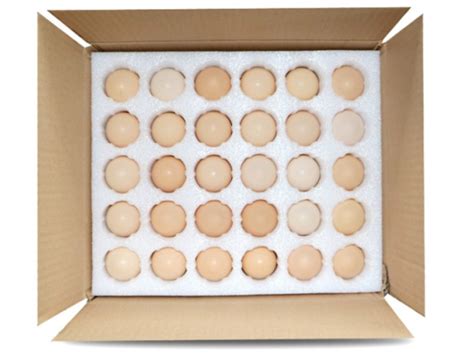 厂家直销 30枚鹌鹑蛋托鸽子蛋托鸡蛋托epe珍珠棉泡沫蛋托快递包装-阿里巴巴
