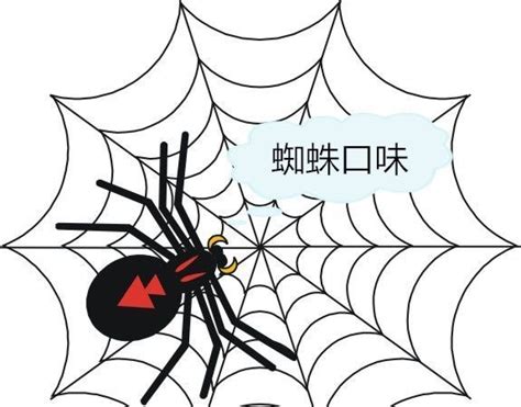网站蜘蛛池怎么做的（seo蜘蛛池快速收录）-8848SEO