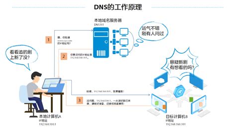实验4 利用协议分析软件分析DNS_dns协议分析实验-CSDN博客