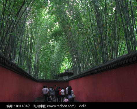 翠竹林与红墙高清图片下载_红动中国