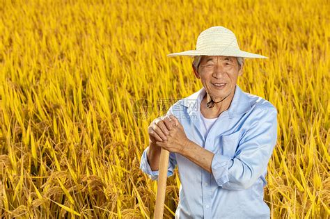 西南大学新闻网-【劳动育人系列报道之一】躬耕田野实践 农学与生物科技学院拓宽劳动育人新路径