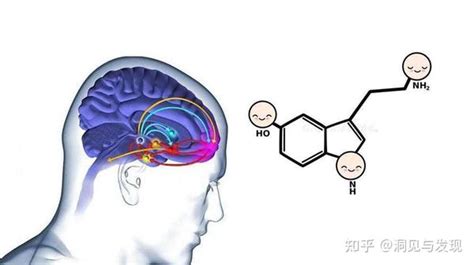 亦正亦邪的多巴胺：引起成瘾性的关键神经递质 - 知乎