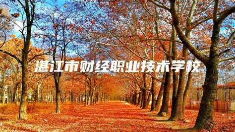 2015年湛江市财政职业技术学校招生简章_广东招生网