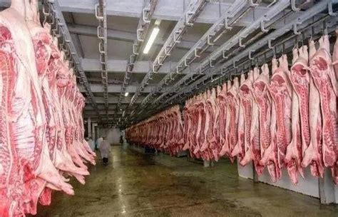猪肉价格连降19周猪价有望向合理水平回归，会影响哪些行业，猪肉降价原因有哪些- 今日头条_赢家财富网