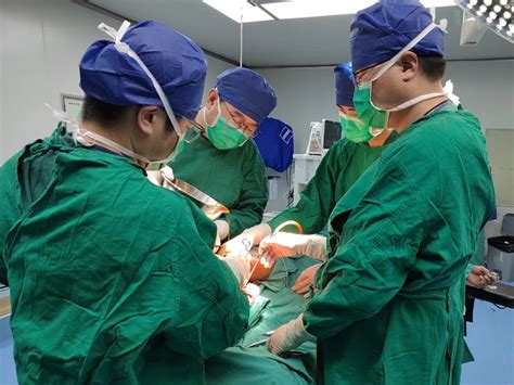 关于医院跑腿代办丰台区号贩子电话，去北京看病指南必知的信息