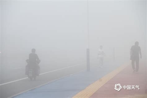 山东威海大雾笼罩一片白茫茫 出行受影响-天气图集-中国天气网