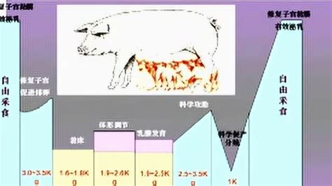 中美养猪产业规模化进程对比及未来中国生猪养猪结构发展趋势预测【图】_智研咨询
