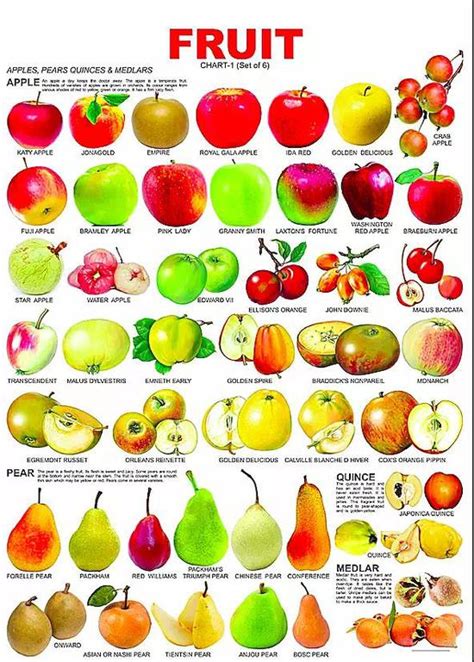 关于水果的英语单词大全，你知道哪些 - 听力课堂