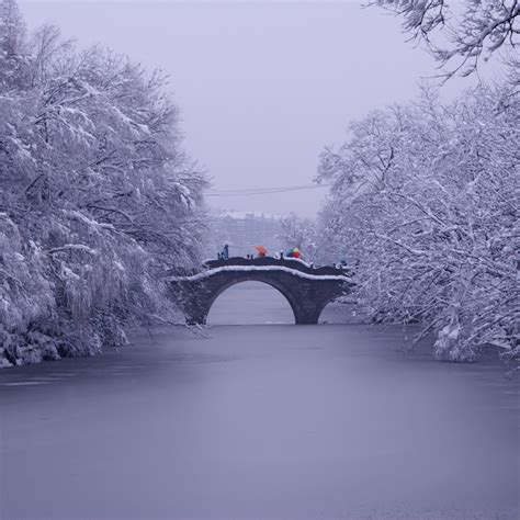 断桥残雪摄影图__国内旅游_旅游摄影_摄影图库_昵图网nipic.com