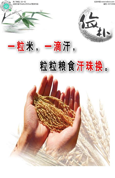 粮食商标设计-广州知名企业粮食商标设计公司-三文品牌