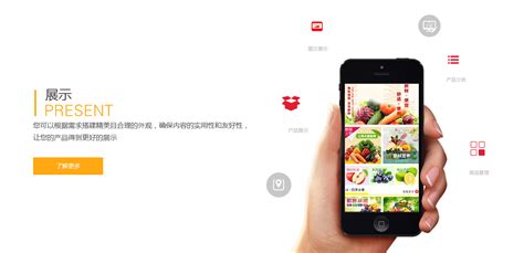 微信开发-上海网络推广|百度SEO优化|品牌营销|新闻软文推广|抖音推广