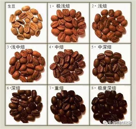 新鲜的咖啡豆为什么都需要养？（三）－咖啡奥秘