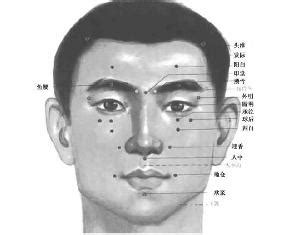 人脸部位名称图解图片 人脸部位名称图解图片