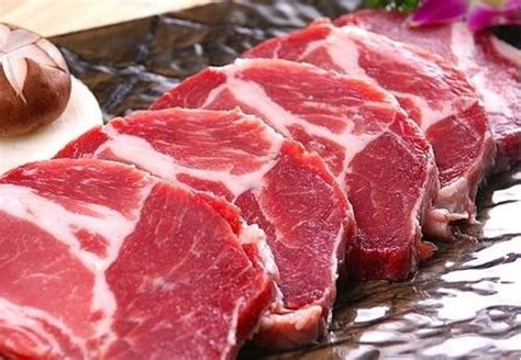 肉类冷库温度设计标准，冻肉冷库建造方案_上海雪艺制冷科技发展有限公司