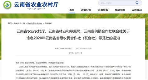 优秀！ 云南命名195个农民合作社（联合社）为省级示范_手机新浪网