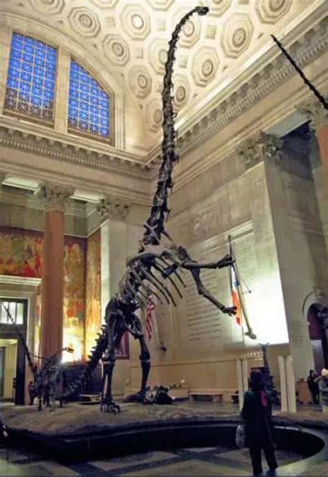 50米长9米高 侏罗纪最长恐龙长这样？_手机新浪网
