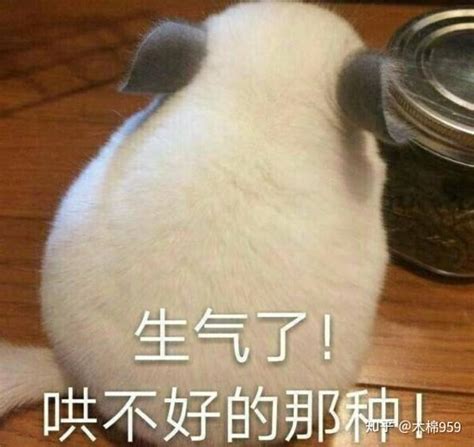 好了_[标签:标题1]