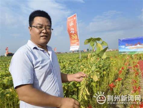 南京农业大学在荆州开展大豆新品种推广_荆州新闻网_荆州权威新闻门户网站
