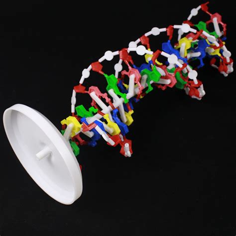DNA双螺旋结构模型-宁波赛特尔教学仪器有限公司