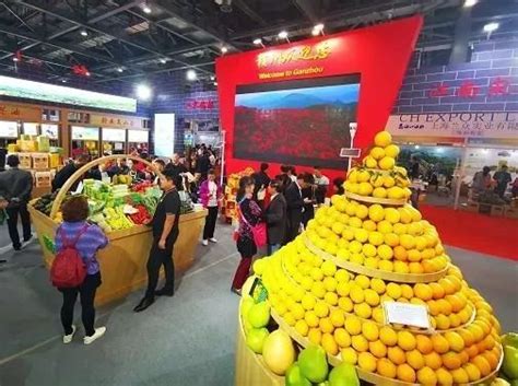 “世界橙乡”迎客来 2023赣南脐橙国际博览会开幕-新华网