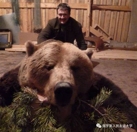 俄罗斯人不怕熊视频_新视网