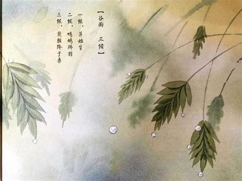 今日雨水：欣赏10首和“雨”有关的古诗词，意境太美了__凤凰网