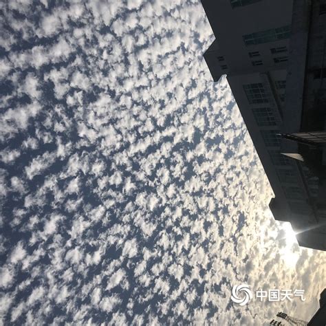 广东揭西天空现“鱼鳞云” 密密麻麻异常壮观-天气图集-中国天气网