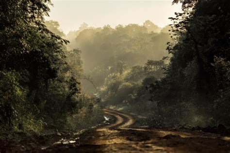 亚马孙洲,行星,热带雨林,巴西,亚马逊雨林,河流,航拍视角,飞机,森林,水平画幅,摄影素材,汇图网www.huitu.com