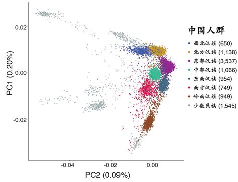 汉族母系基因分析：汉族女同胞的祖先来自 3 个地方|云南|汉族|祖先_新浪新闻