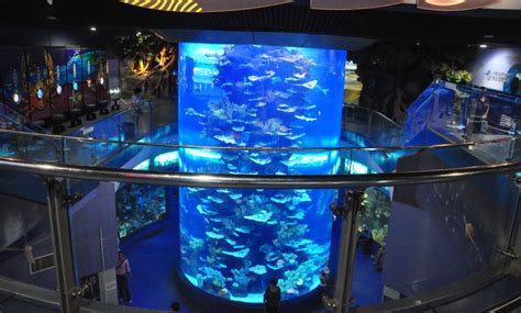 世界上最大的水族馆排名，乔治亚水族馆排第一