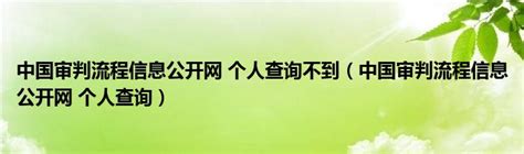 中国审判流程信息公开网案件查询Word模板下载_编号lwaekxro_熊猫办公