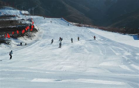 阿勒泰有哪些滑雪场 五大必去滑雪场介绍_旅泊网