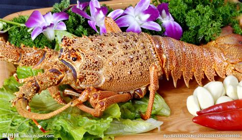 澳洲大龙虾怎么做好吃又简单 澳洲大龙虾家常做法大全_农业知识 - 农业站