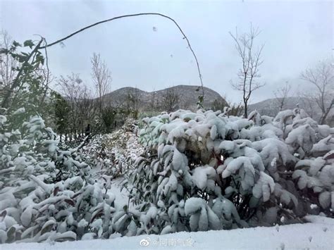 陕西下雪了吗2018 陕西哪里下雪了_旅泊网