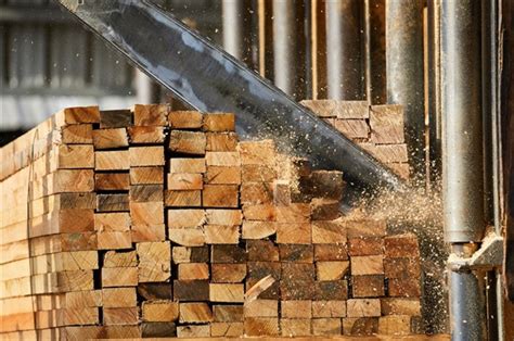 家具需求扩大带动木材市场消耗-建材网