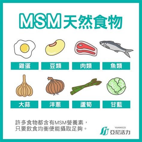 MSM是什麼?功效、副作用、富含食物有哪些? - 亞尼活力