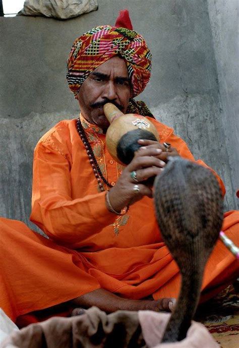 捕蛇者说：印度“蛇人”不会捕蛇不能结婚|文章|中国国家地理网