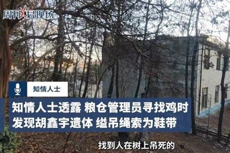 胡鑫宇遗体发现地距离学校400米，树林中缢吊，现场有一支录音笔|失踪_新浪新闻