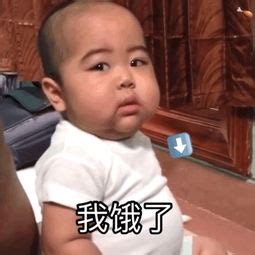 肥仔图片