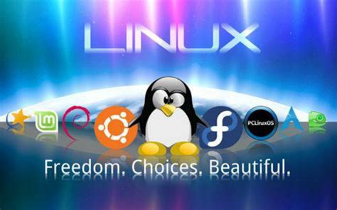 linux 系统基础概述（一） - 爱码网