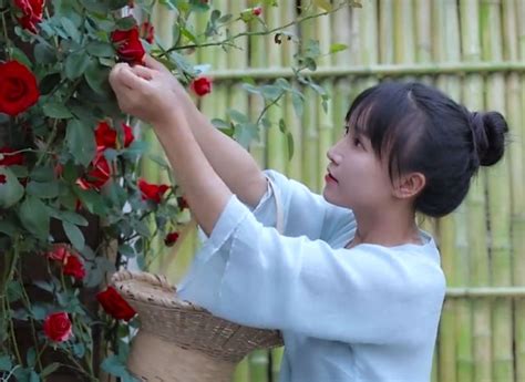 李子柒熊黛林图片