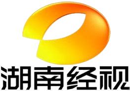 湖南经视logo设计图__其他图标_标志图标_设计图库_昵图网nipic.com