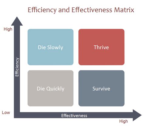 Productivity vs Efficiency: What is the Difference & Importance for Teams