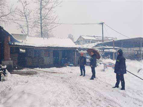 当庭履行并致歉 事发浙江的纠纷在南川法院成功调解_澎湃号·政务_澎湃新闻-The Paper